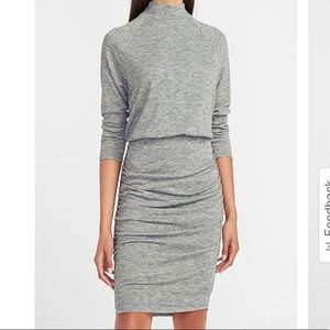 Supersoft Long Sleeve Mock Neck Dress by Express